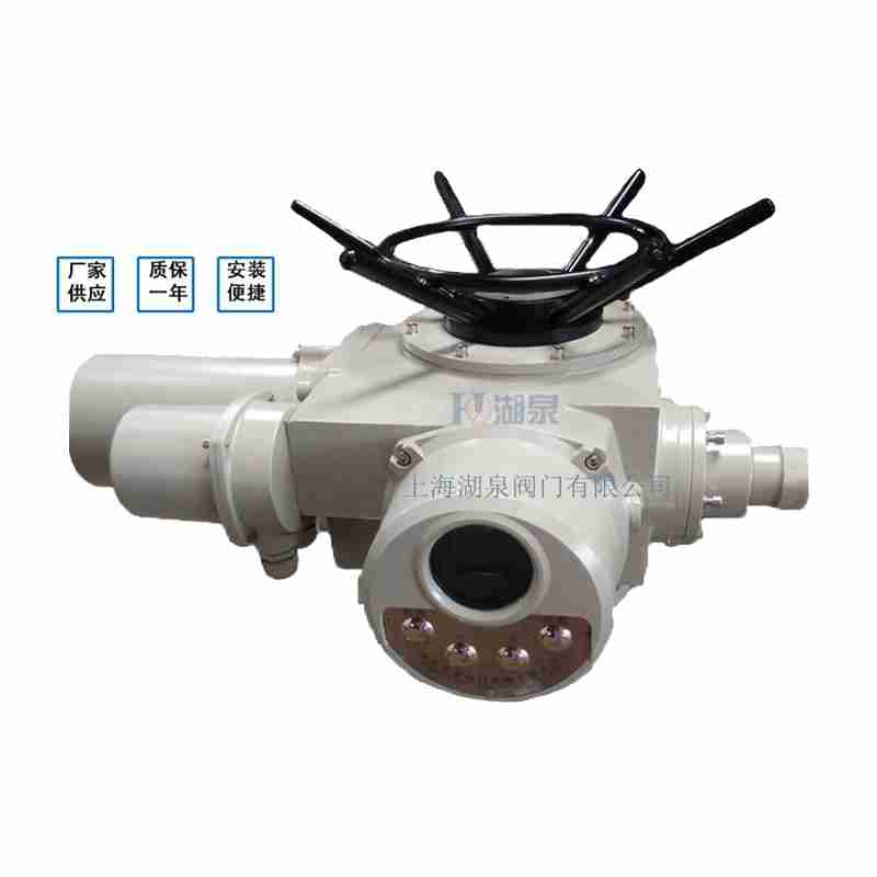 閥門電動裝置（dzw05,10,20，30,45,60，90,12