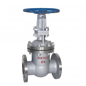 閘閥Z41H-25C DN65明桿式（小口徑）