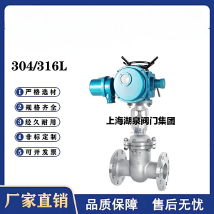 Z941W-16P，DN250，CF8/F304不銹鋼電動(dòng)閘閥